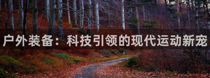 MK体育官方正版app集团简介:户外装备:科技引领的现代运动