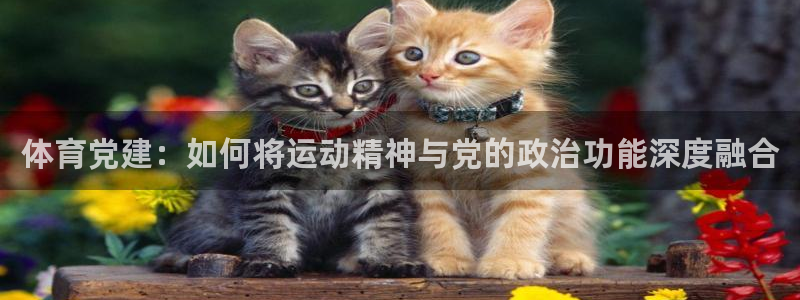 MK体育官网下载平台注册流程图:体育党建:如何将运动精神与党