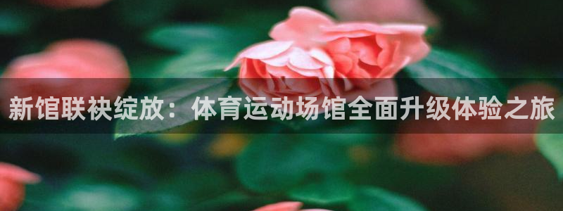 MK体育官网下载招商电话地址:新馆联袂绽放:体育运动场馆全面