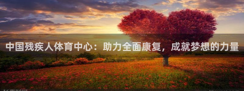 MK体育官方正版app官网:中国残疾人体育中心:助力全面康复