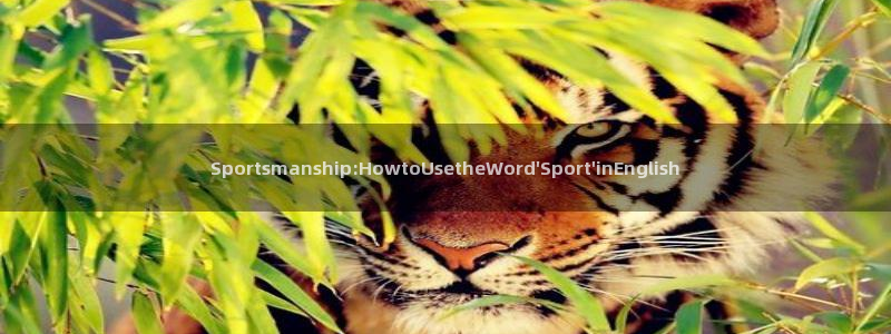 MK体育官网下载平台注册要钱吗安全吗:Sportsmansh