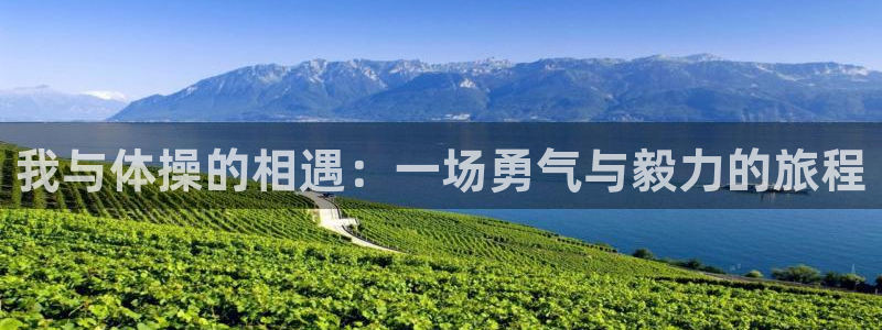 MK体育官网下载开户:我与体操的相遇:一场勇气与毅力的旅程