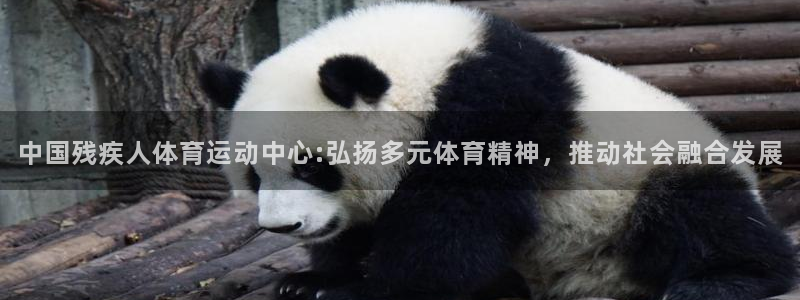 MK体育官网下载招商电话地址是多少:中国残疾人体育运动中心: